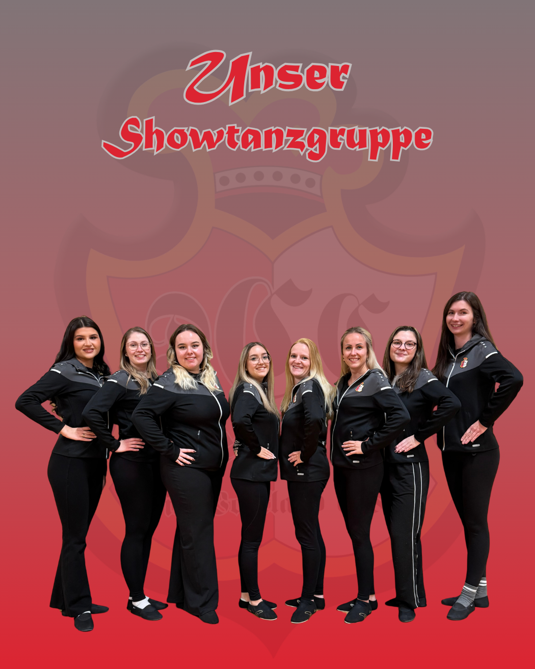 Unsere Showtanzgruppe